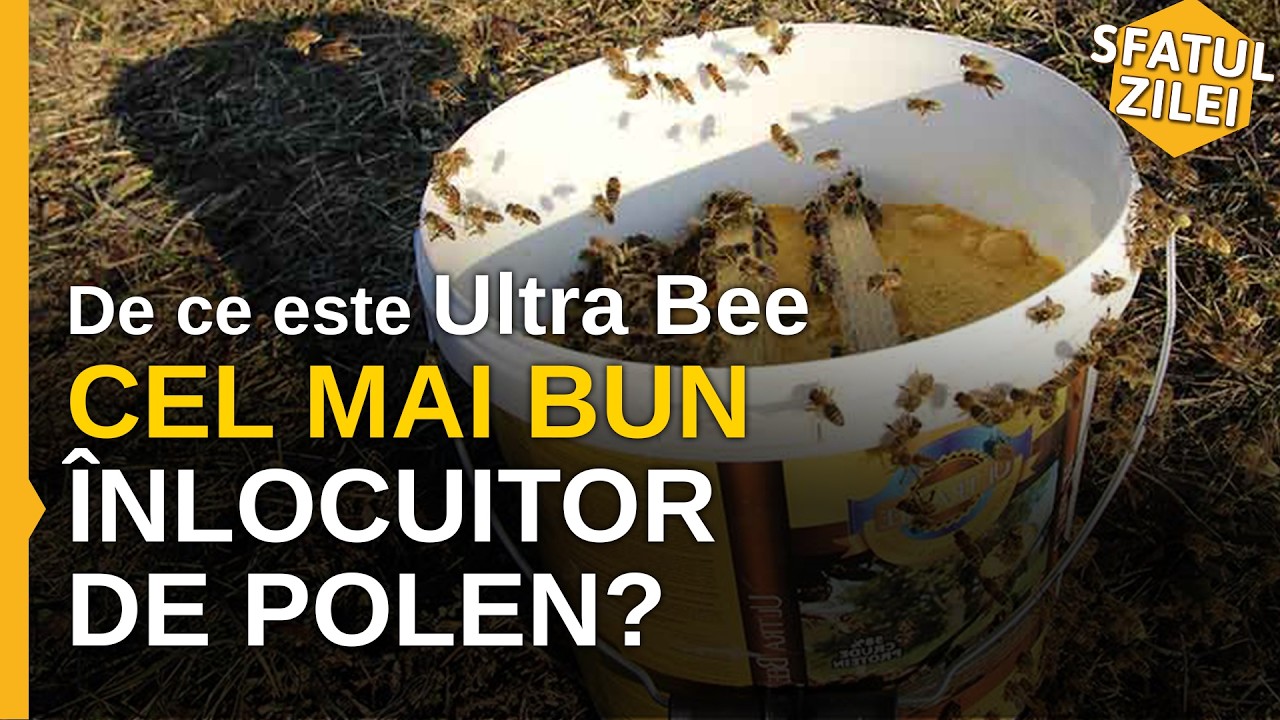 De ce este Ultra Bee cel mai bun inlocuitor de polen?