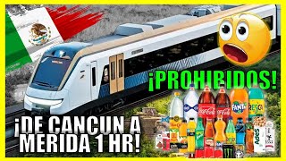 ¡EL TREN MAYA 🚄, DE MÉRIDA A CANCÚN UNA HORA!?😱, PROHÍBEN ÉSTOS RICOS ALIMENTOS EN MÉXICO!!😮