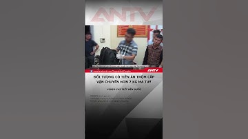 Bắt đối tượng có tiền án trộm cắp tài sản, vận chuyển hơn 7kg ma túy #antv #shorts #tintuc #matuy