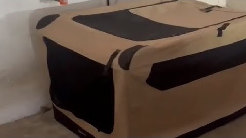 Amazon Basics Folding Soft Pet Crate Honest Review