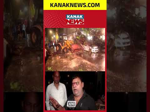 Massive Tree Crushes Four Cars As Mumbai Rains Intensify