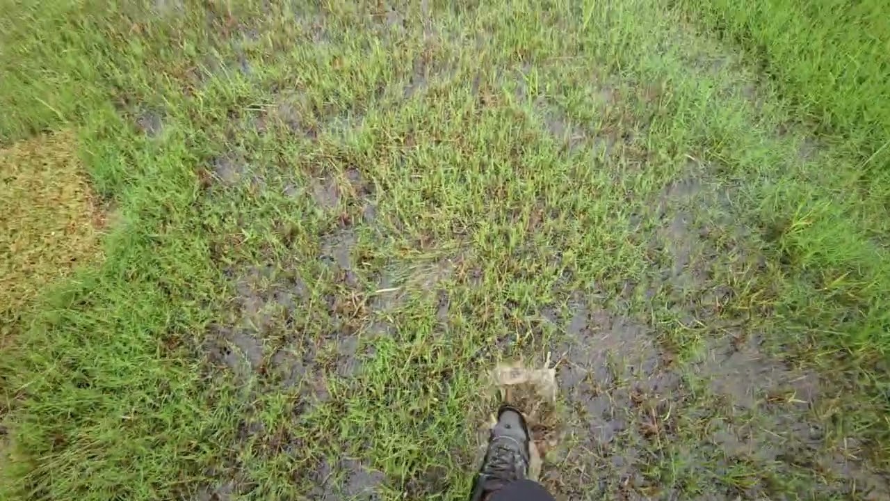 Drainage System Failure 5