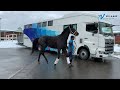 有馬好走のキズナ産駒　ディープボンド帰還　日本海新聞