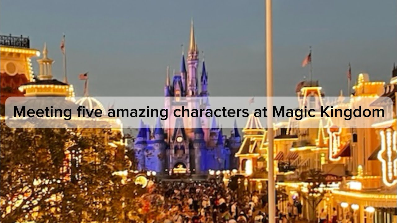 Meeting characters at the Magic Kingdom Park including [mickey mouse,Eyore,piglet,Pooh and tigger]🏰