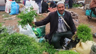 مرحبا بكم في السوق الشعبي المغربي