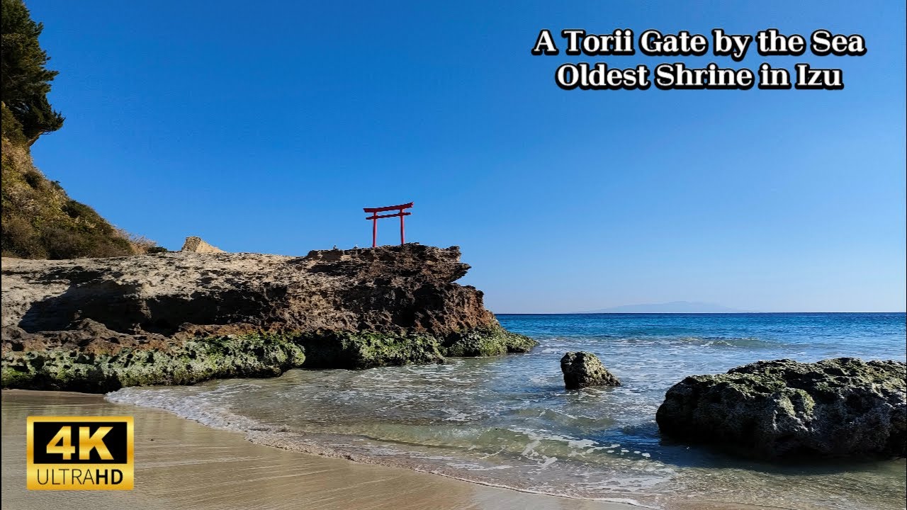 Walking to Japan’s Oldest Seaside Shrine | Shirahama Shrine, Izu/下田白浜神社