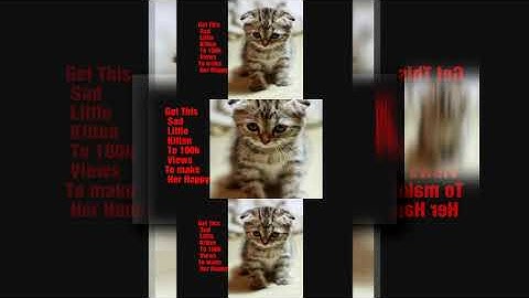 ytpmv CAN THIS VIDEO GET TO 100,000 VIEWS? scan