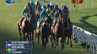 Longines Breeders' Cup Turf Stakes G1 - 04\\11\\2017 - Talismanic Resimi