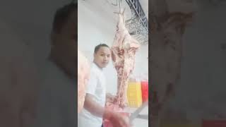 Beef Carcass Part 2 ( SIOSAN )
