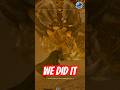 We Killed a Hive Lord!