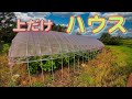 いちじくVlog　#33　雨よけハウス　SEASON3