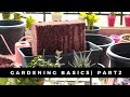 How to Use Cocopeat for Plants|  Gardening Basics | Part 2