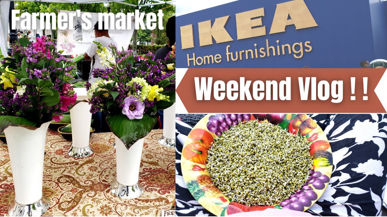 Weekend Vlog | Farmers market tour | Healthy protein filled rice recipe | Bird watching