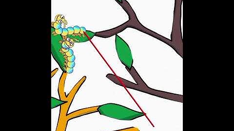 Help Out Story : Tricky Puzzle Gameplay Walkthrough ( Android, iOS Game)