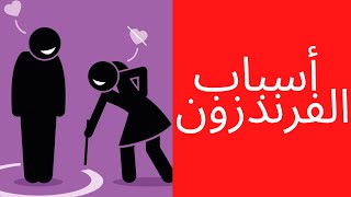 الفريندزون : أسوء مكان يقف فيه الرجل (الأخ نجيب)