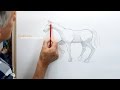 How to Draw a Horse simply