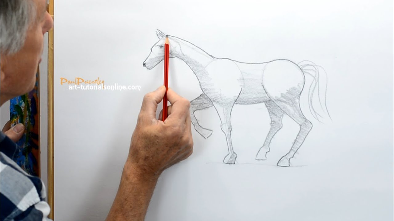 How-To-Draw-Horses  Horse drawings, Drawing lessons, Horse drawing