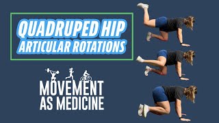 Quadruped Hip Articular Rotations