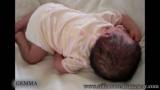 Reborn Baby Dolls by Nikki Holland - Picture Show 3