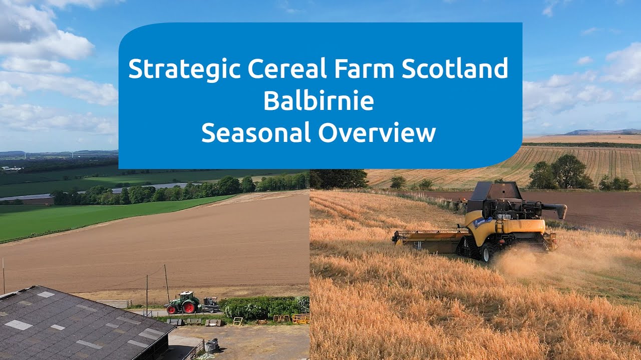 An overview of the harvest 2020 season at the AHDB Strategic Cereal Farm Scotland