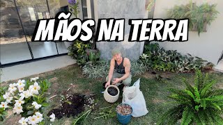 Download Lagu DIA de CUIDAR do JARDIM: TENTATIVA de SALVAR as PLANTAS 🪴 | Henrique Buttler MP3 Download Lagu DIA de CUIDAR do JARDIM: TENTATIVA de SALVAR as PLANTAS 🪴 | Henrique Buttler MP3