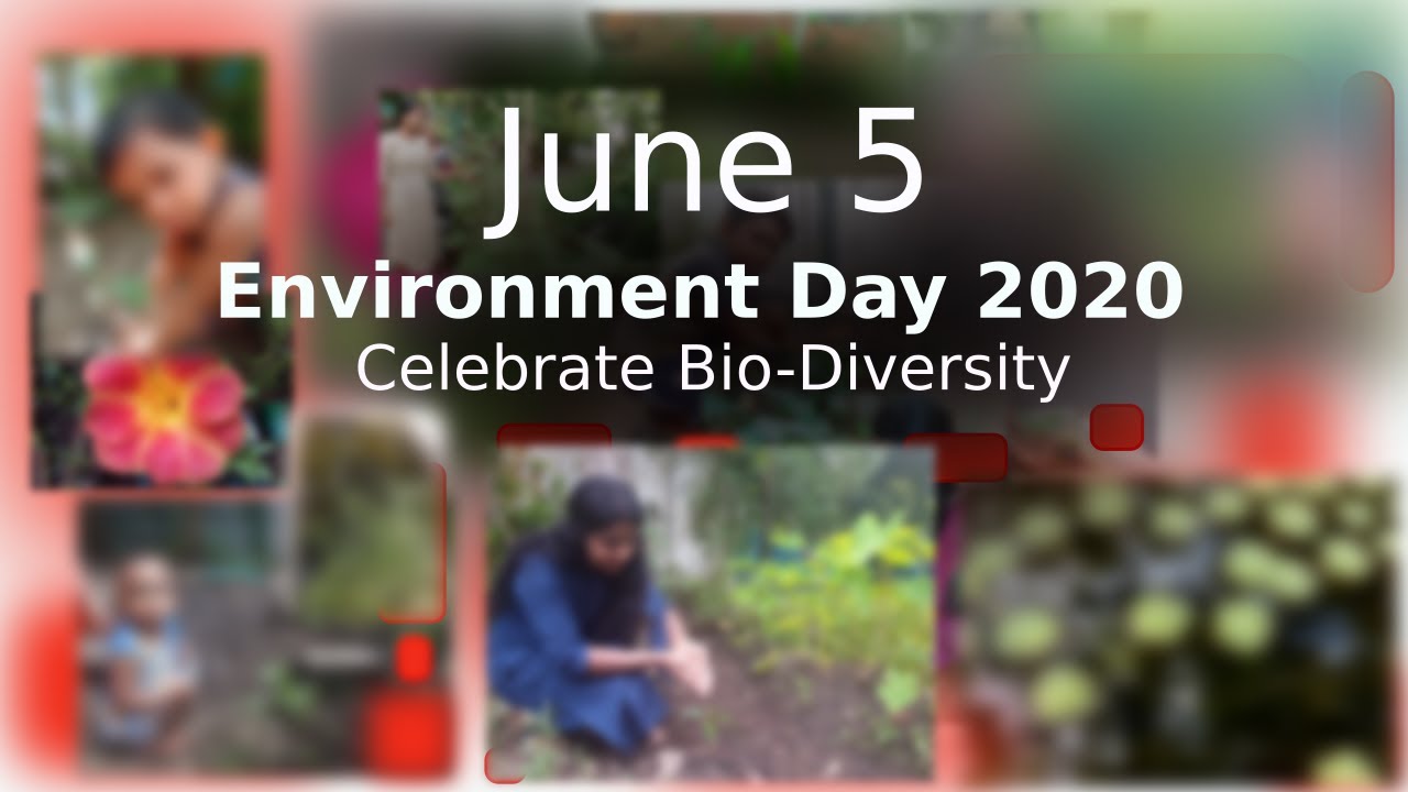 Celebrate Biodiversity  Environment day  June 5 2020