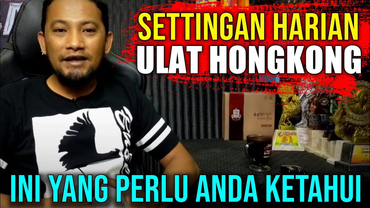 Обратите внимание, что ежедневные настройки для MURAI BATU используют ГОНКОНГСКИЙ СКОТ.