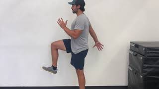 Standing Hip Flexion ISO Hold (Isometric)