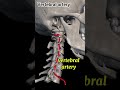 vertebral artery#anatomy#1millionviews#3danimation#viralvideo