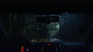 Rain Inside the Car in a Deep Forest Valley — Stormbound in Real Nature | No AI