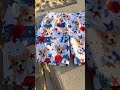 Custom Beach Shorts - Summer Vacation Gifts - Red, White & Woof - BS-YL0510 V1.1