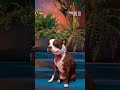 "Me encantó todo, pero estoy fuera" 🥺| Temporada 10 | Shark Tank México