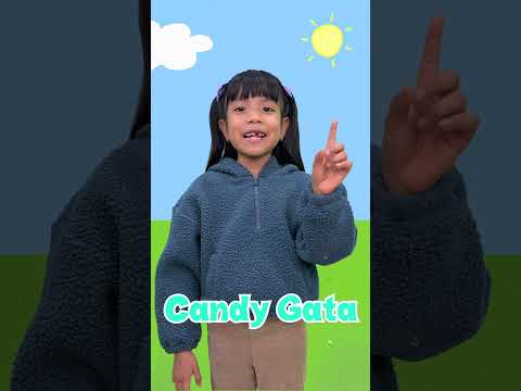 Peppa Pig en la Vida Real - Dibujos Animados Infantiles - Juegos para Niños #peppapig #aprendizaje