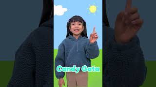 Peppa Pig En La Vida Real - Dibujos Animados Infantiles - Juegos Para Niños