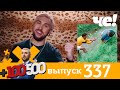 +100500 | Выпуск 337