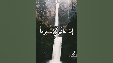 حبيبتي كاظم 