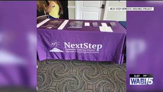 Washington County agencies celebrate survivors, recognize community advocates at Eastport event