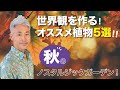 世界観を作る！秋のノスタルジックガーデン！オススメ植物5選！