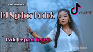 DJ NGOBOR KODOK - Evi Shandra REMIX WMP