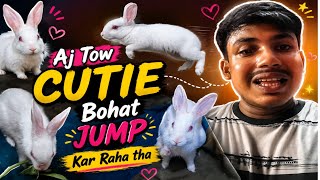 Aj Tow Cutee Bohat jup kar raha tha#blogger #viralvideo #trending #highlights