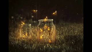 Owl City - Fireflies  ( reverb )