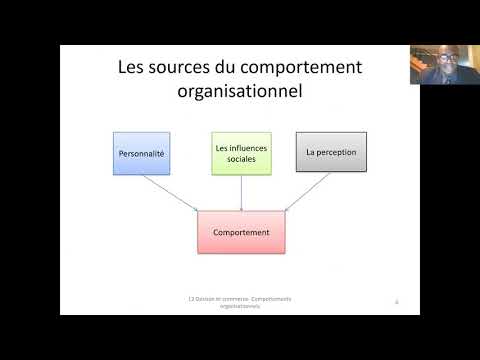 Vidéo: Quels sont les facteurs qui affectent généralement le comportement du groupe dans un cadre organisationnel ?