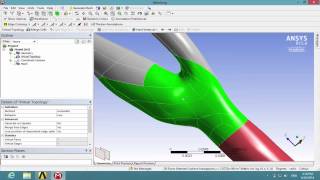 Celebrity Simcafe: 3D Bifurcating Artery in FLUENT, Mesh #1 Net Worth