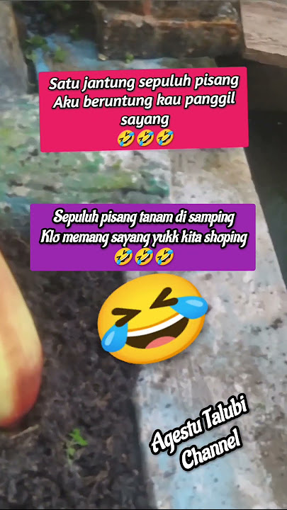 gombalan pantun lucu🤣#shorts #feedshorts #fyp #pantungombal #ngakak #pengantinunik #funny #married