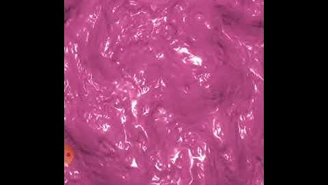 TEASEAR- ASMR SLIME SIMULATOR