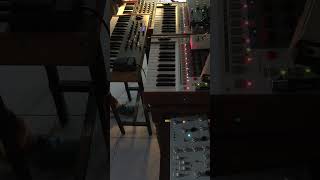 Vengeful Tree / Dark Energy - Ritm2 - Dominion1 #electronicmusic #music #analogsynth #techno #akai