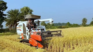 Kubota DC68G Rice Harvest Machine In India🚜 Best Agriculture In India 🌾🌾