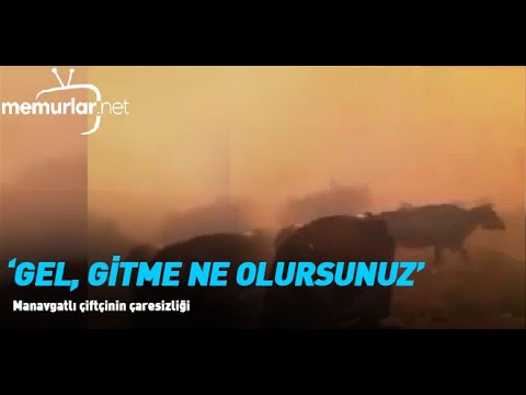 Manavgatlı çiftçinin çaresizliği: Gel gitme ne olursunuz gelin…