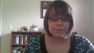 Information Brooklyn Bridge Book Talk Update