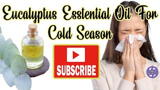 How To Use Eucalyptus Oil For Cold & Flu Season